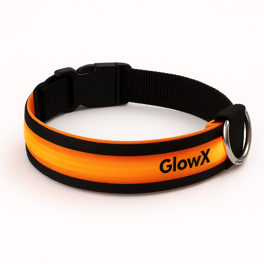 GlowX™ LED Dog Collar